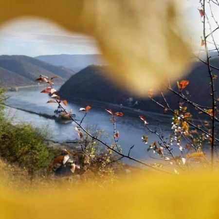 Ferienhaus Am Rheinsteig Kaub Exteriér fotografie